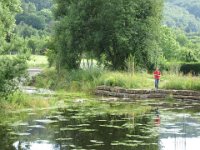 27. Juni 2015 - Am Breitwiesensee in Gerlingen